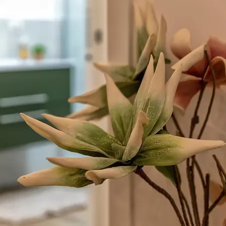Delia's Apartment *